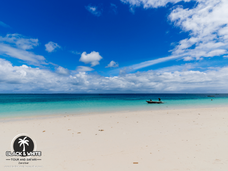 spiaggia meravigliosa a zanzibar