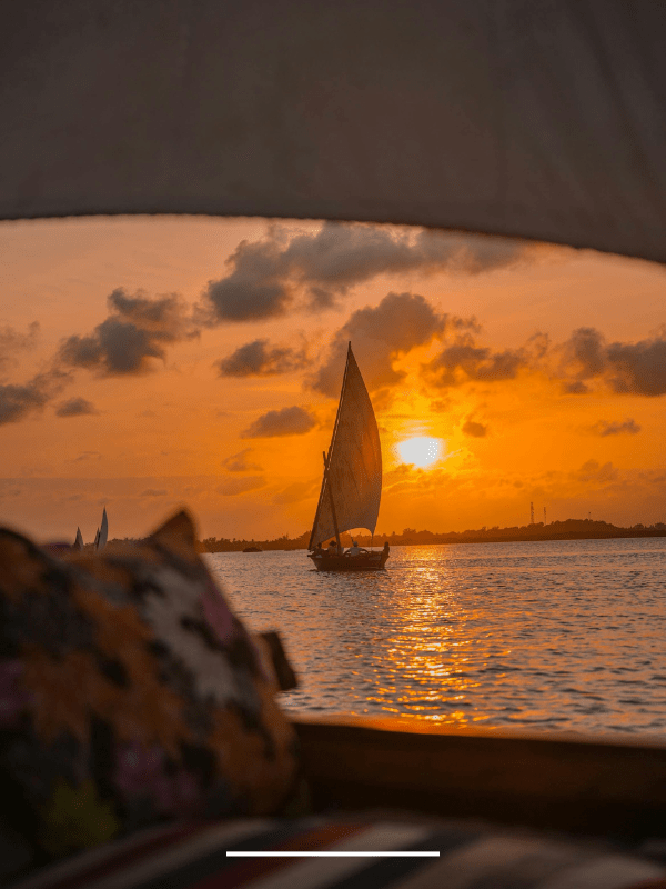 black and white zanzibar tour taxy safari experience (1)