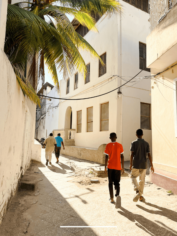 black and white zanzibar tour taxy safari experience (2)